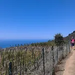 Διαμέρισμα Mare, Monti E...cinque Terre
